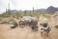 Best_of_Watkins_Wedding-0016