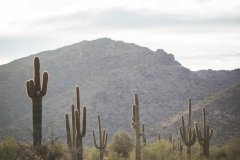 Best_of_Watkins_Wedding-0024