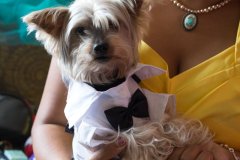 Best_of_Happily_Ever_Esquivel-0010