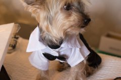 Best_of_Happily_Ever_Esquivel-0012