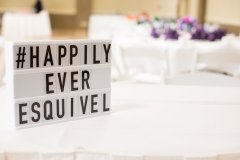 Best_of_Happily_Ever_Esquivel-0029