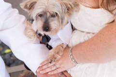 Best_of_Happily_Ever_Esquivel-0050